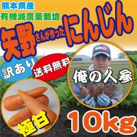 熊本県産　矢野農園の訳ありにんじん10kg　(有機減農栽培)