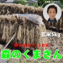 【送料無料】平成27年度　熊本県産　森のくまさん　玄米5kg