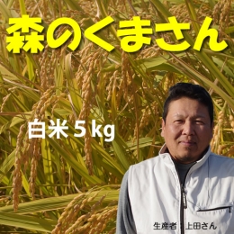 【送料無料】平成27年度　熊本県産　森のくまさん(上田)　白米5kg